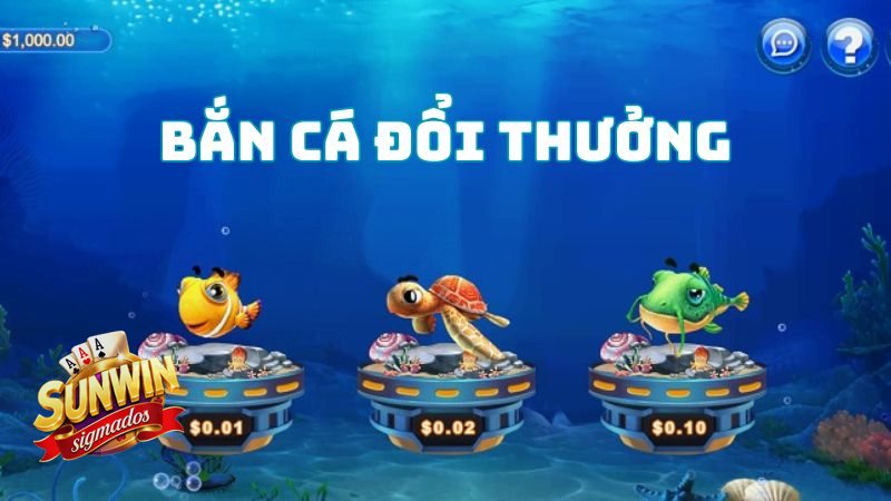 Bắn Cá Hải Tặc - Bảng tóm tắt nhanh cho người mới