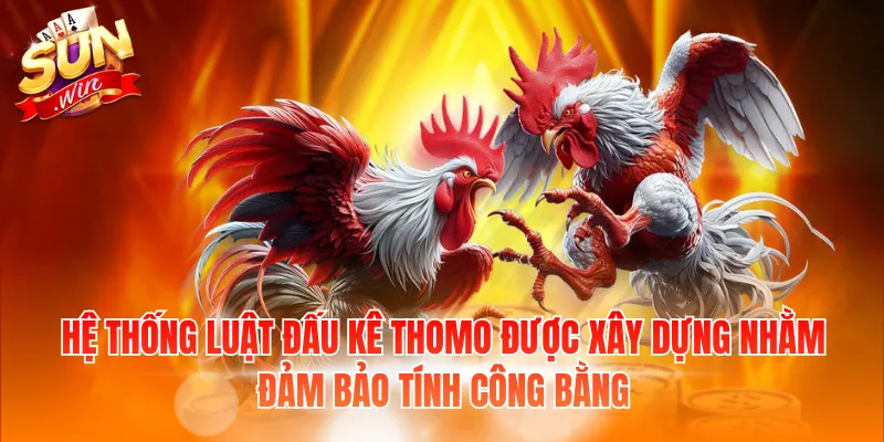 Hệ thống luật đấu kê Thomo được xây dựng nhằm đảm bảo tính công bằng