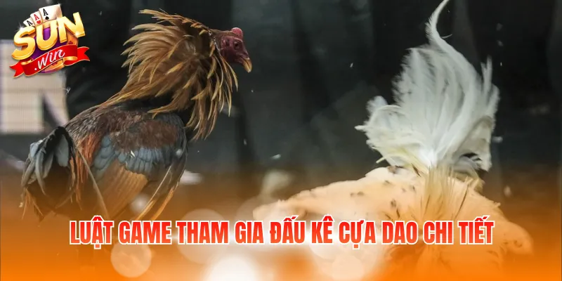 Luật game tham gia đấu kê cựa dao chi tiết