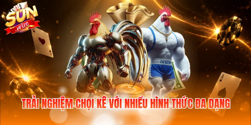 Trải nghiệm chọi kê với nhiều hình thức đa dạng